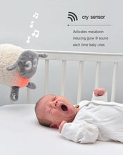 Load image into Gallery viewer, ewan Deluxe | baby shushing sleep sheep | grey
